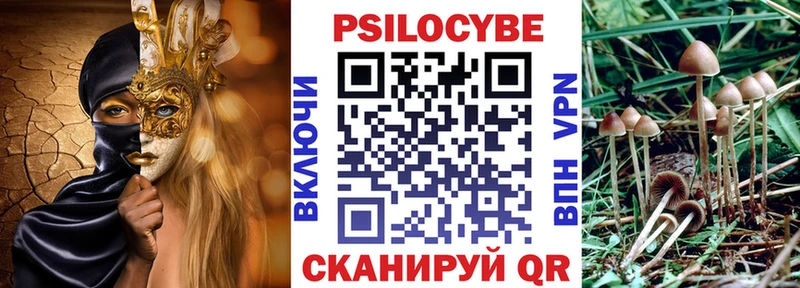 Галлюциногенные грибы Psilocybine cubensis  Новый Оскол 